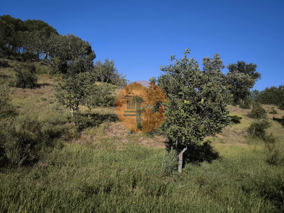 Terreno para Venda em Azinhal Foto 24