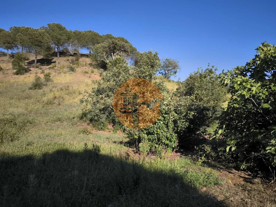 Terreno para Venda em Azinhal Foto 28