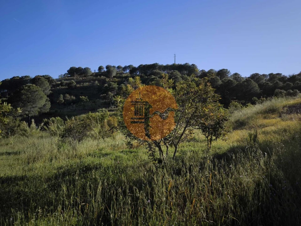Terreno para Venda em Azinhal Foto 30