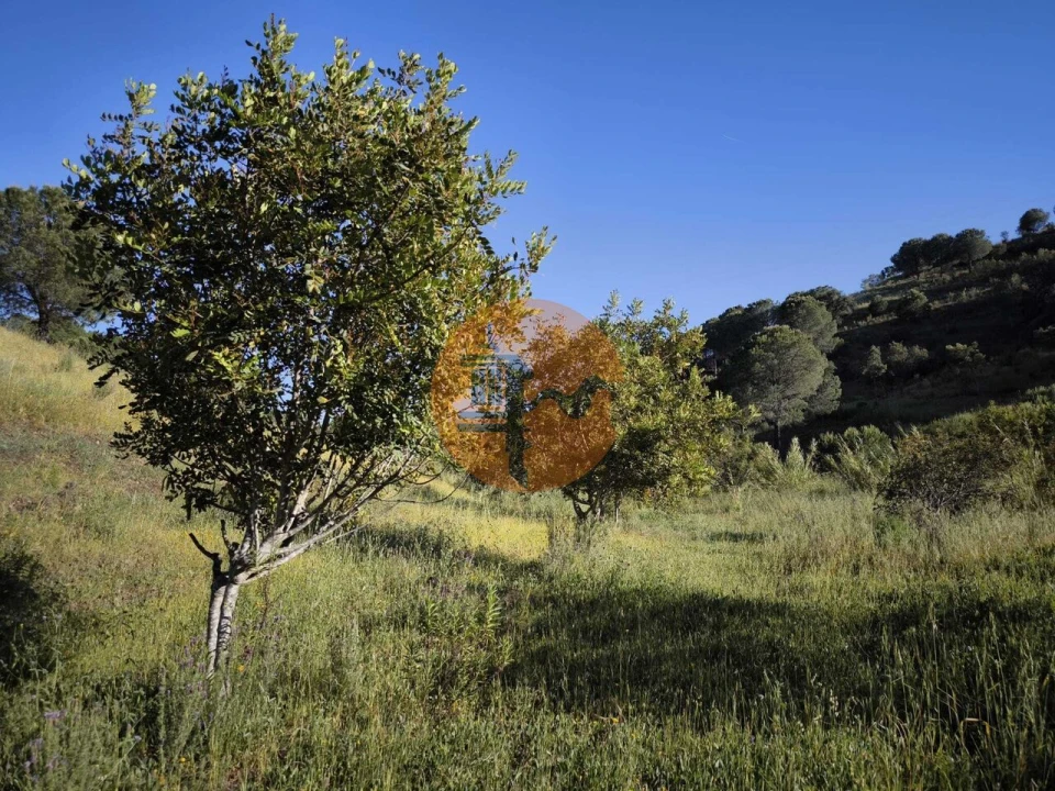 Terreno para Venda em Azinhal Foto 32
