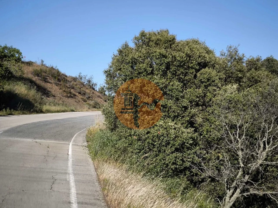Terreno para Venda em Azinhal Foto 38