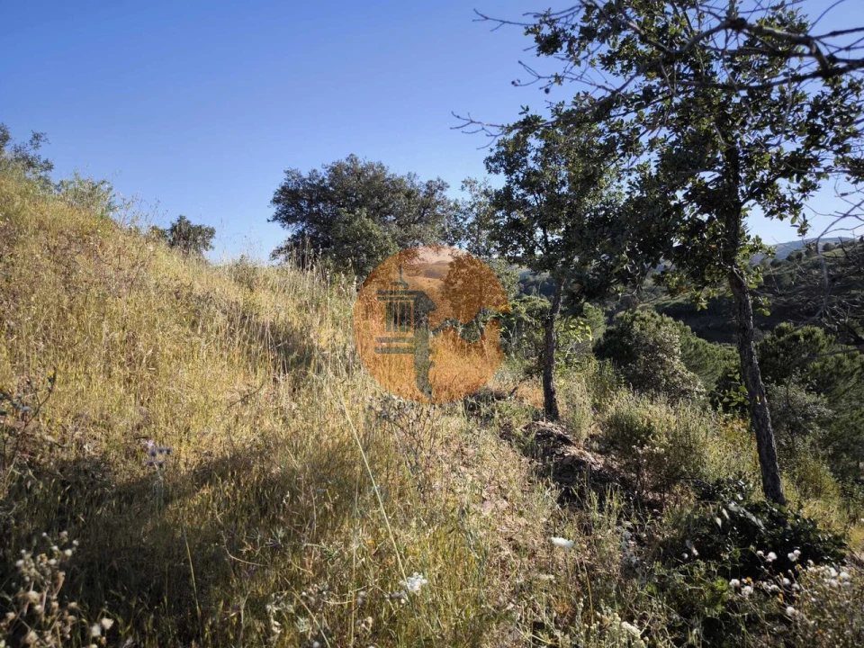 Terreno para Venda em Azinhal Foto 40
