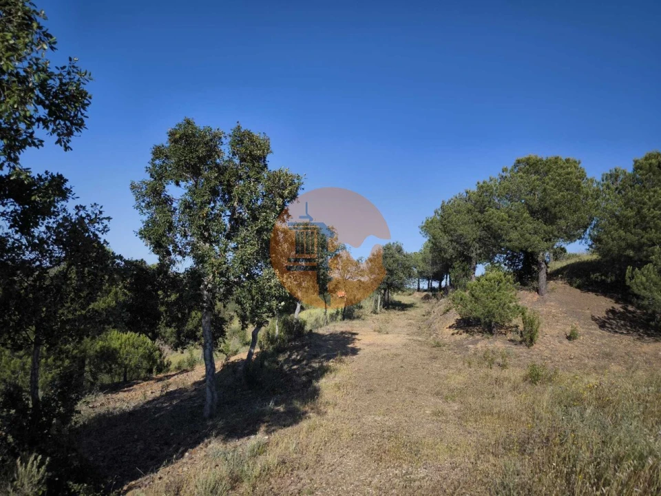 Terreno para Venda em Azinhal Foto 41