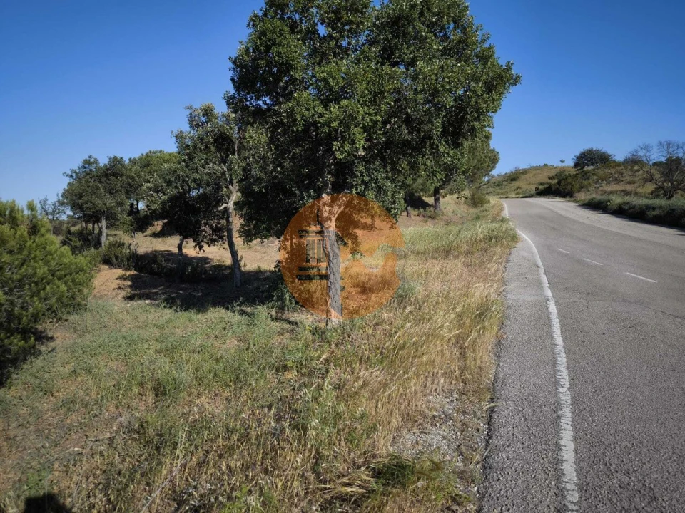 Terreno para Venda em Azinhal Foto 42
