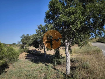 Terreno para Venda em Azinhal