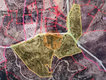 Terreno para Venda em Azinhal