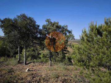 Terreno para Venda em Azinhal