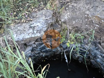 Terreno para Venda em Azinhal