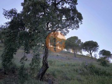 Terreno para Venda em Azinhal