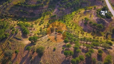 Terreno para Venda em Azinhal
