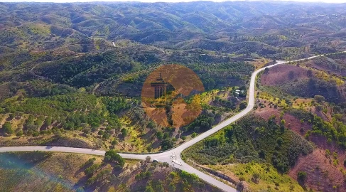 Terreno para Venda em Azinhal