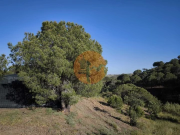 Terreno para Venda em Azinhal
