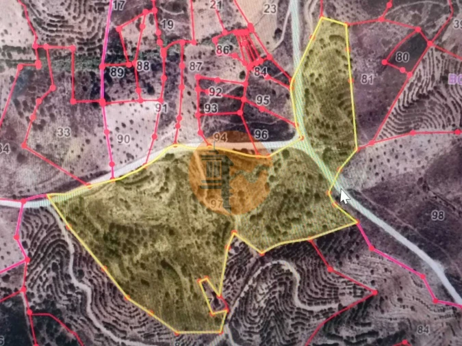 Terreno para Venda em Azinhal Foto 2