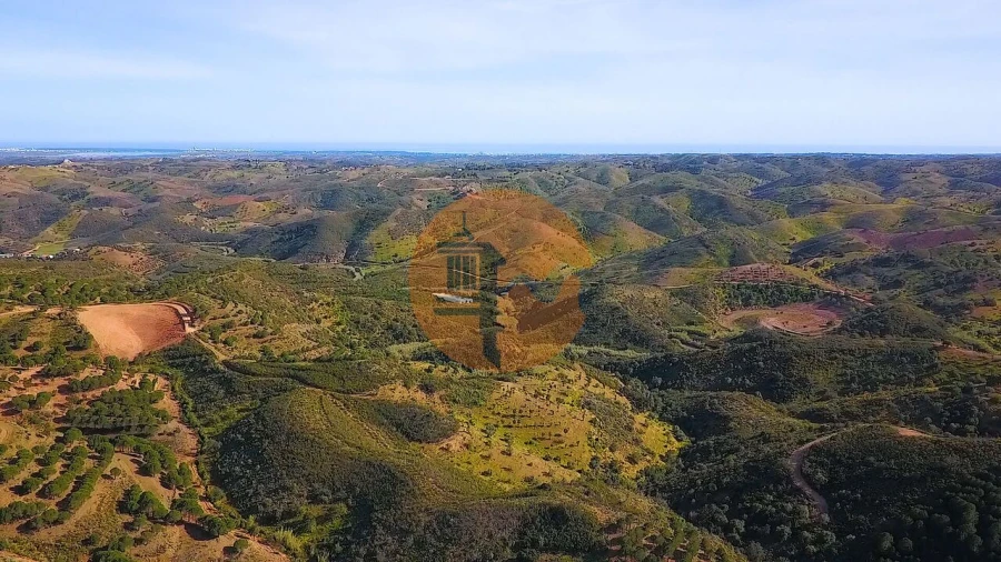 Terreno para Venda em Azinhal Foto 18