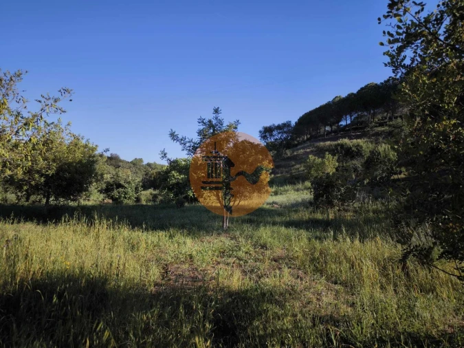 Terreno para Venda em Azinhal Foto 26