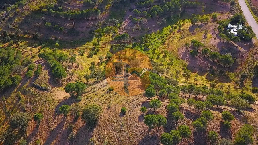 Terreno para Venda em Azinhal Foto 27
