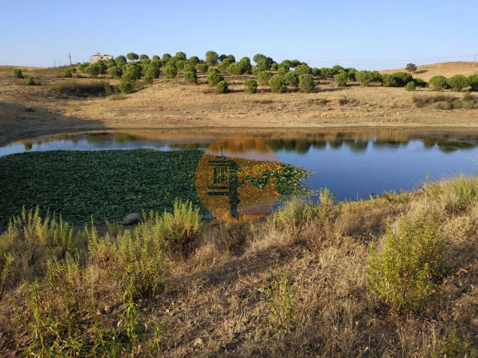 Terreno para Venda em Castro Marim Foto 3