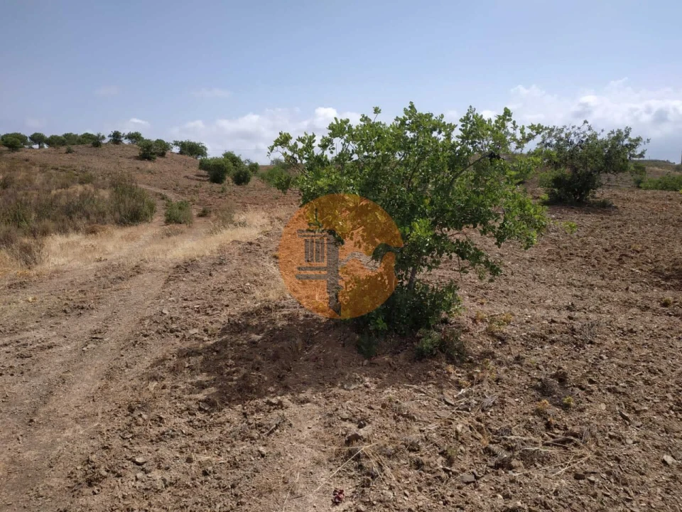 Terreno para Venda em Castro Marim Foto 8