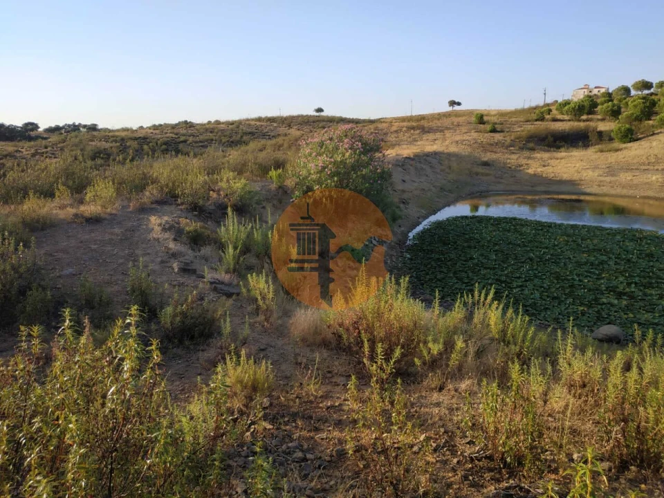 Terreno para Venda em Castro Marim Foto 9