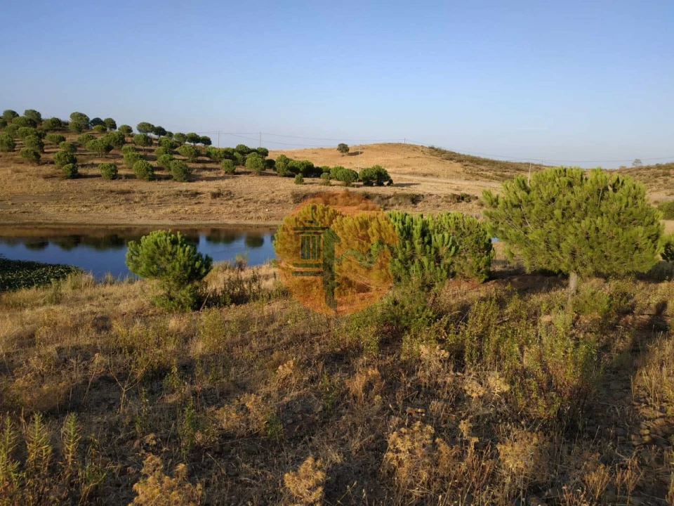 Terreno para Venda em Castro Marim Foto 12
