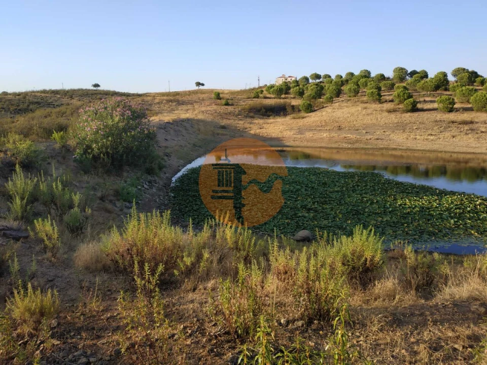 Terreno para Venda em Castro Marim Foto 15