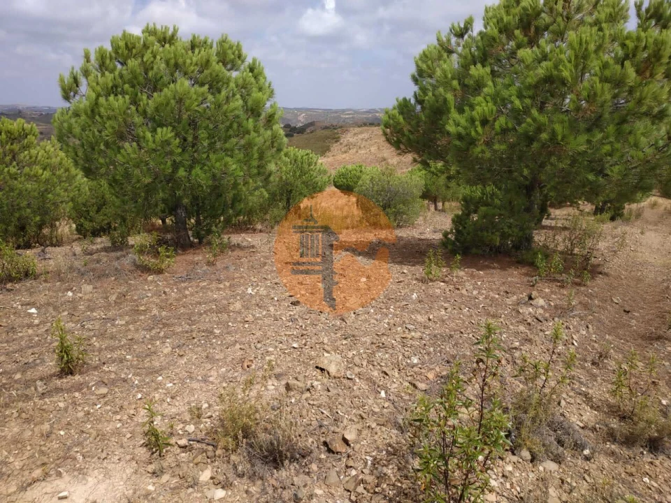 Terreno para Venda em Castro Marim Foto 19