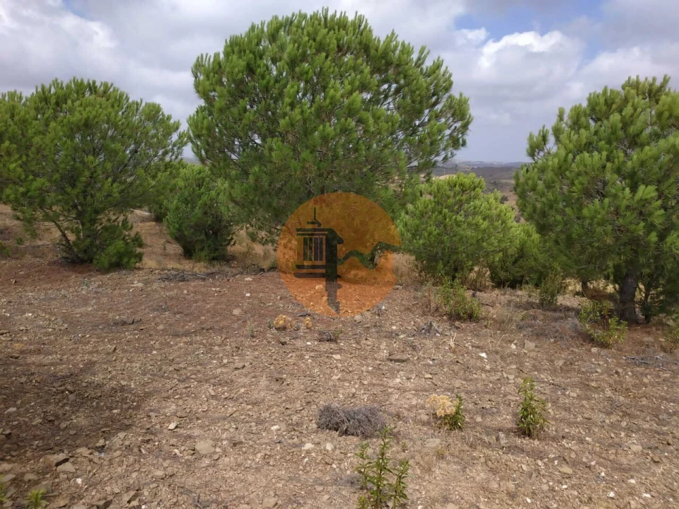 Terreno para Venda em Castro Marim Foto 20