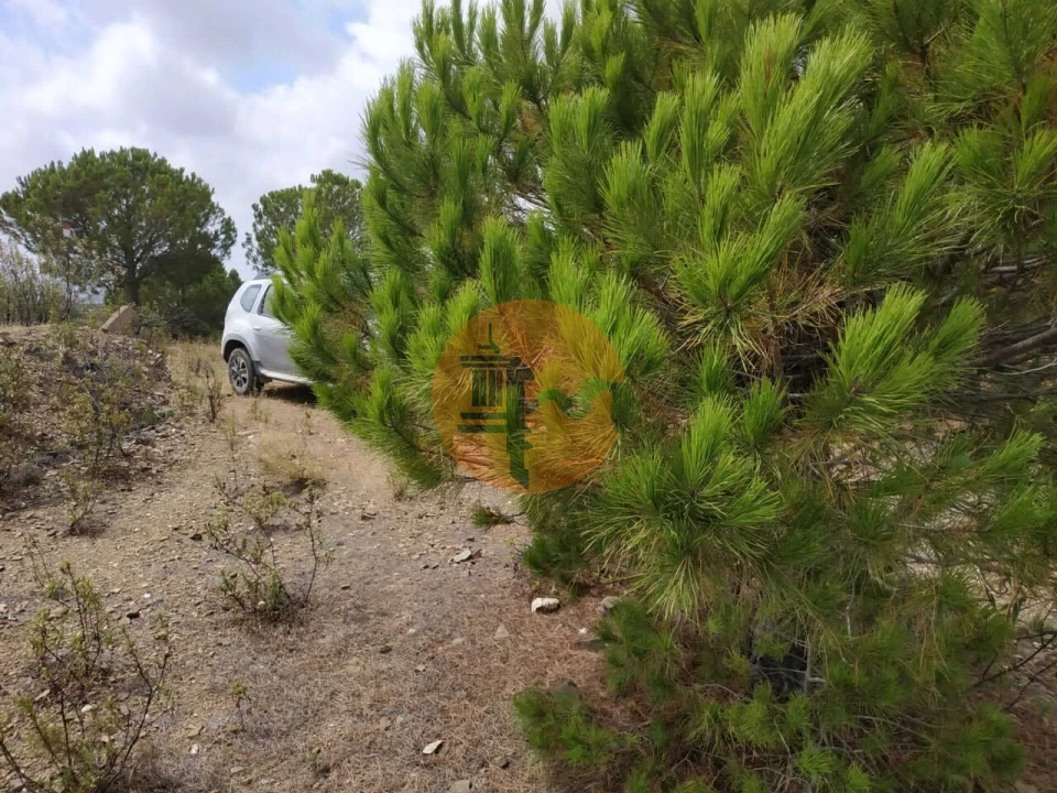 Terreno para Venda em Castro Marim Foto 21