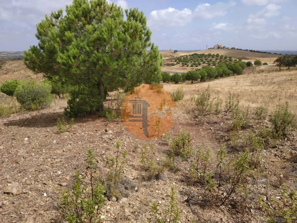 Terreno para Venda em Castro Marim Foto 22