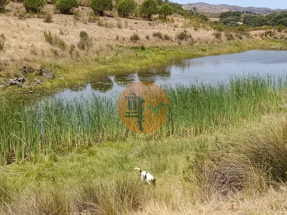 Terreno para Venda em Castro Marim Foto 53