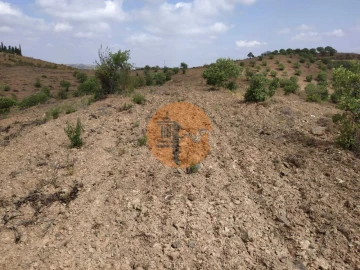 Terreno para Venda em Castro Marim