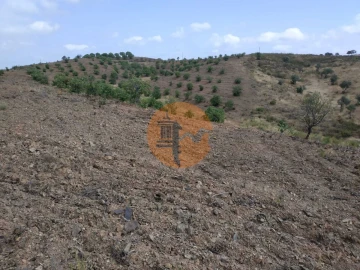 Terreno para Venda em Castro Marim