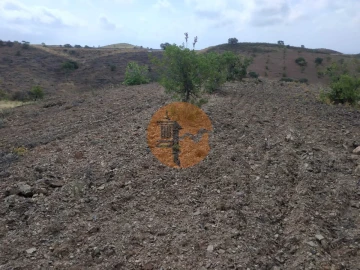 Terreno para Venda em Castro Marim
