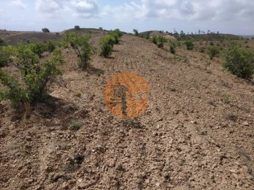 Terreno para Venda em Castro Marim