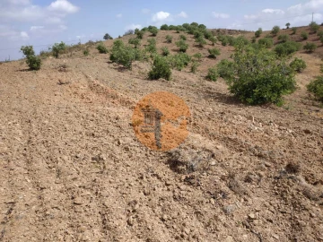 Terreno para Venda em Castro Marim