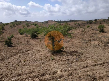 Terreno para Venda em Castro Marim