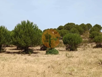 Terreno para Venda em Castro Marim