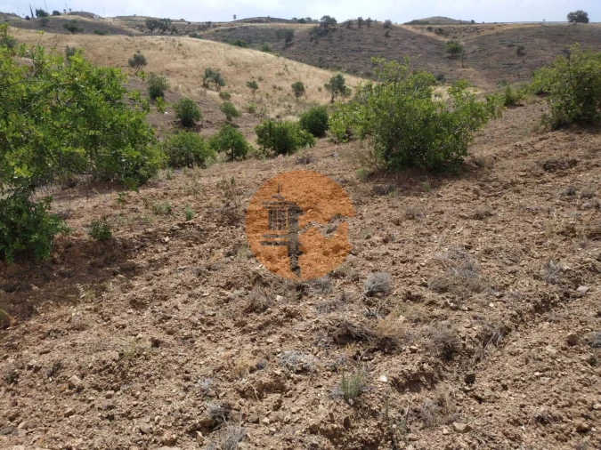 Terreno para Venda em Castro Marim Foto 28