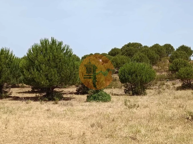 Terreno para Venda em Castro Marim Foto 54