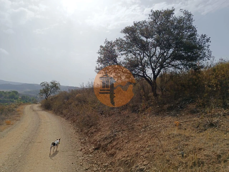 Terreno para Venda em Azinhal Foto 5