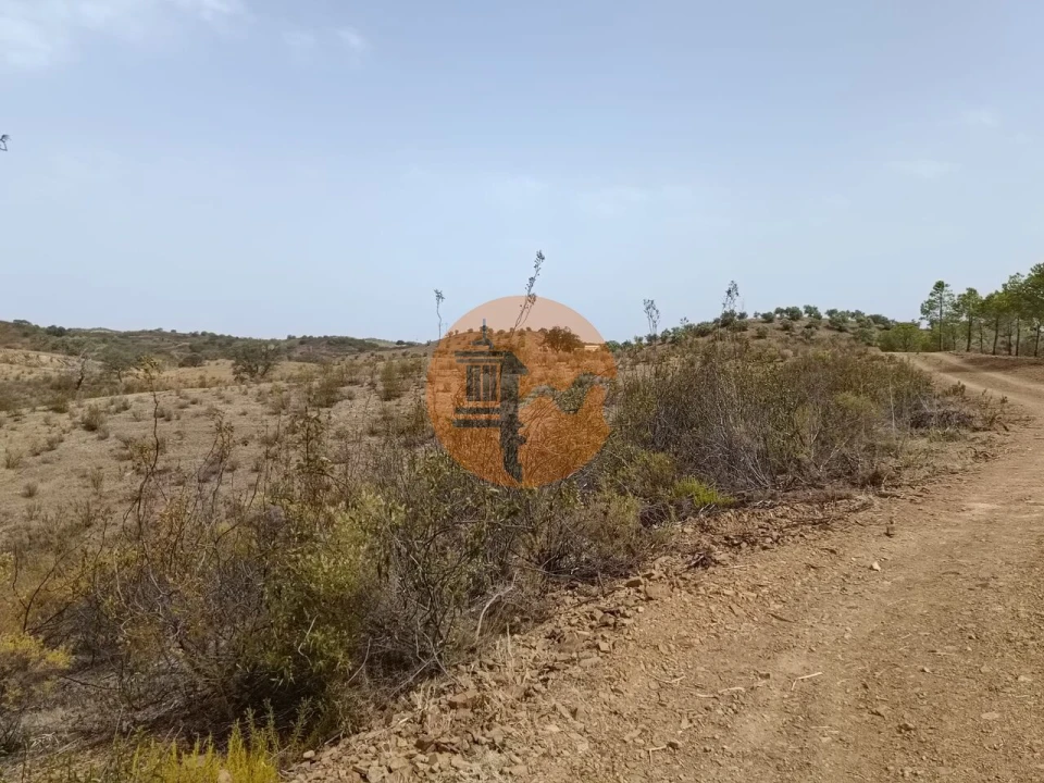 Terreno para Venda em Azinhal Foto 7