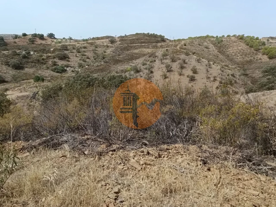 Terreno para Venda em Azinhal Foto 10