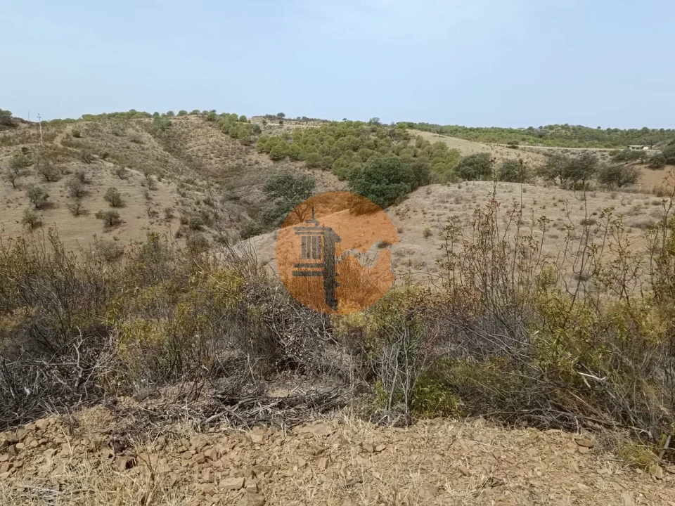Terreno para Venda em Azinhal Foto 17