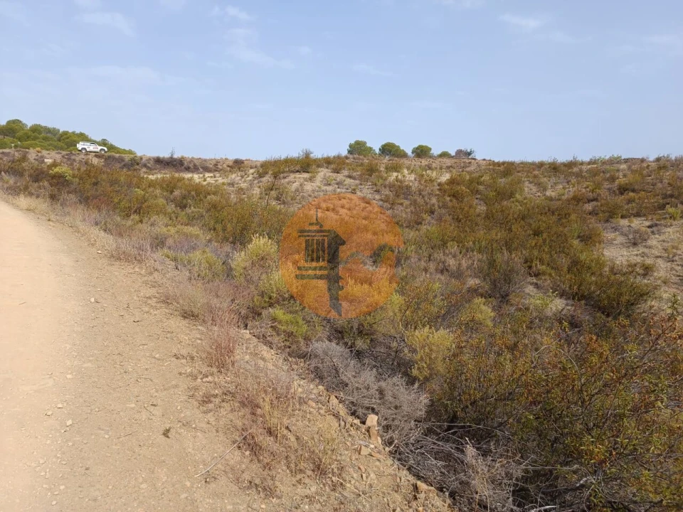 Terreno para Venda em Azinhal Foto 21