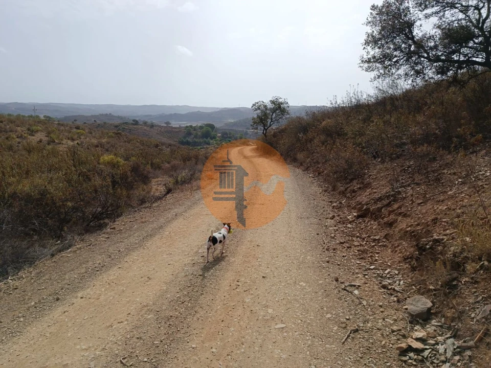 Terreno para Venda em Azinhal Foto 26