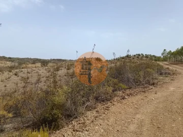 Terreno para Venda em Azinhal