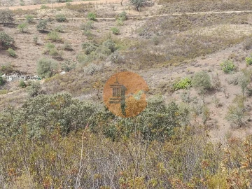 Terreno para Venda em Azinhal