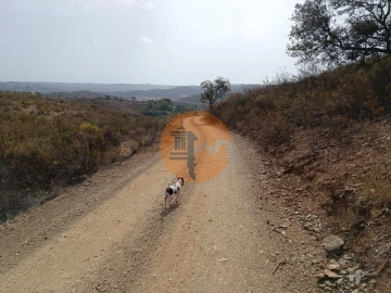 Terreno para Venda em Azinhal