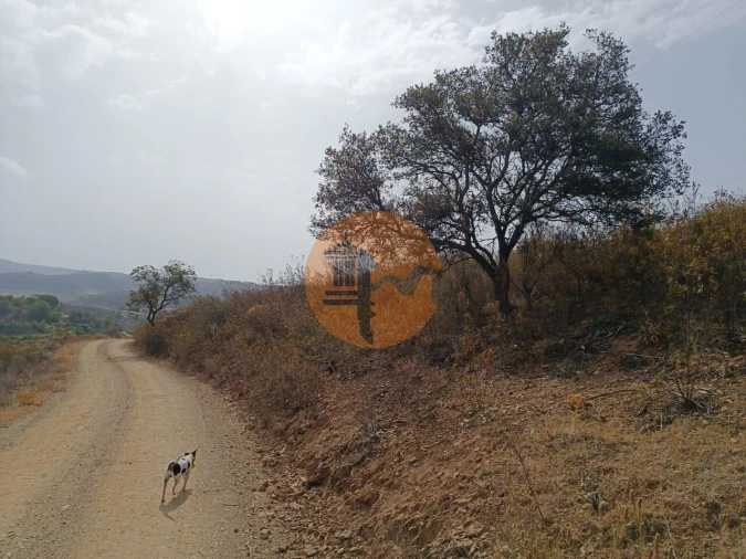 Terreno para Venda em Azinhal Foto 5
