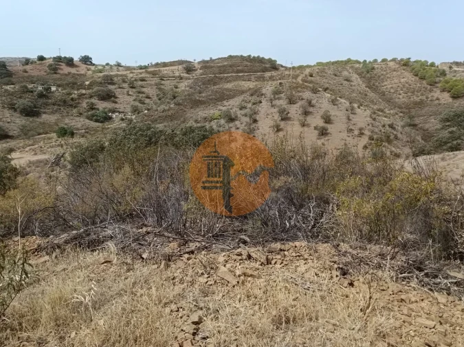 Terreno para Venda em Azinhal Foto 10
